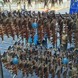 客戶兩臺(tái)雙高效烘干房，烘金昌魚安裝完成！