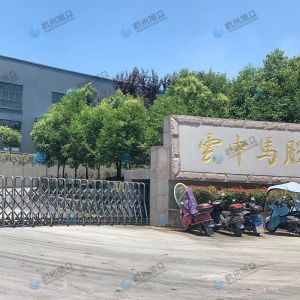 松陽(yáng)的客戶，調(diào)試30型包子機(jī)完成！