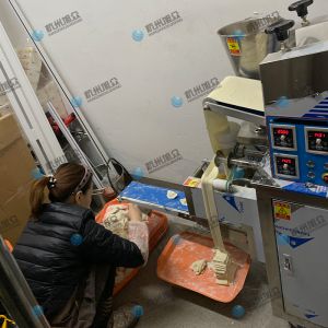 仿手工包餃子機(jī)省時(shí)省力開店神器！