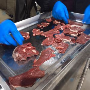 XZ-1000魚片機(jī)，30度斜切2.5mm牛肉片