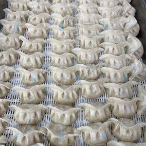 JGB-10型一體式餃子機(jī)現(xiàn)場(chǎng)試機(jī)，效果棒棒噠?。。?！